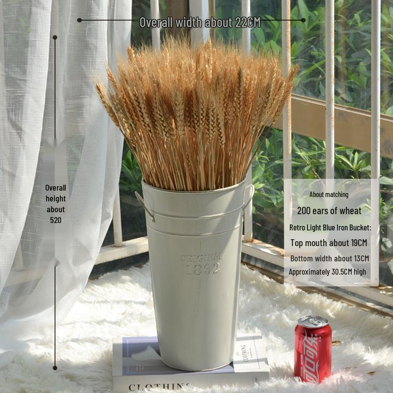 Natural Wheat Ear Dried Flower Bouquet: Barley Decor for Living Room, Bedroom, or Shop