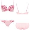 AMOSTYLE BY Triumph Entry Collection Bra Panty Set M020 C65 Push-Up & (Pretty Bouquet) Women's (Lipstick Pink)