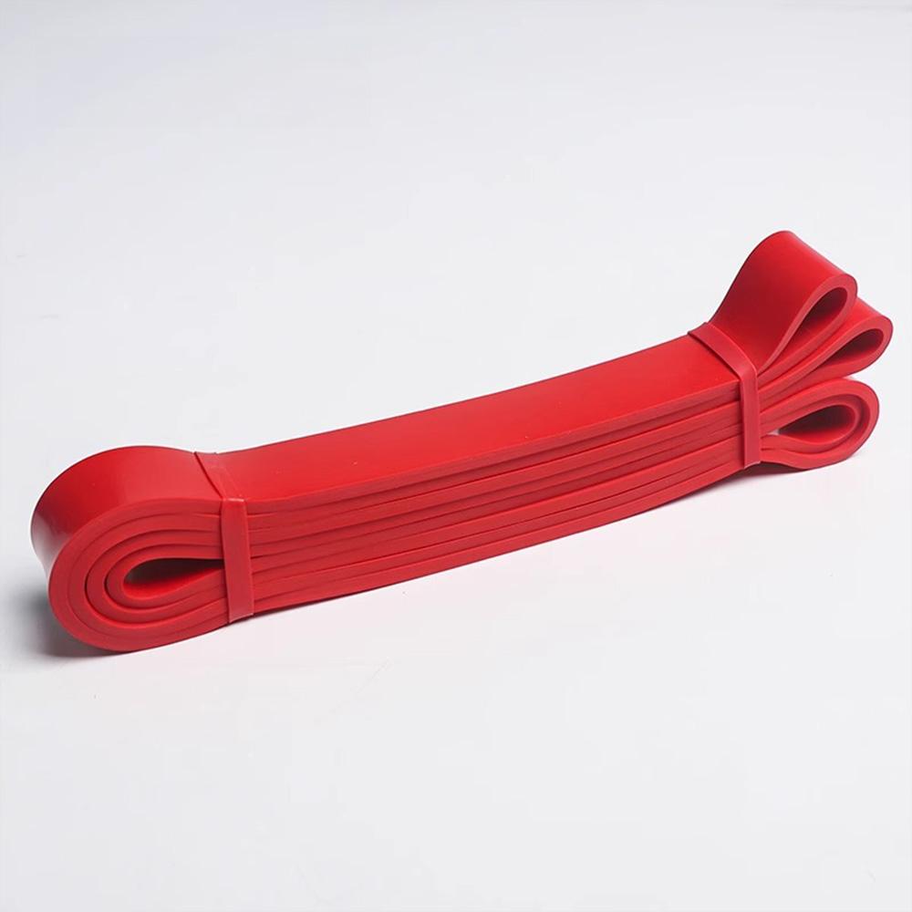 Resistance Bands Pull Up Assist Bands - Workout Bands Eexercise Bands Long Resistance Bands Kit for Working Out Fitness Training