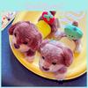 With Stretchable Dachshund Green Pepper Tomato Plush Keychain Pendant Kids Gift