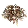 40pcs Upgraded Drywall Anchors Zinc Plated Steel Screw Anchor Metal Anchors  Wall Hanging
