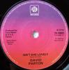 7inch Record DAVID PARTON - Isn't She Lovely 7N45663 Pye Records 1976 UK Soul/Funk Used