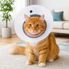 Bite Resistant Recovery Cone Collar Breathable Anti-Bite Collar Cat Anti Lick Cover Training