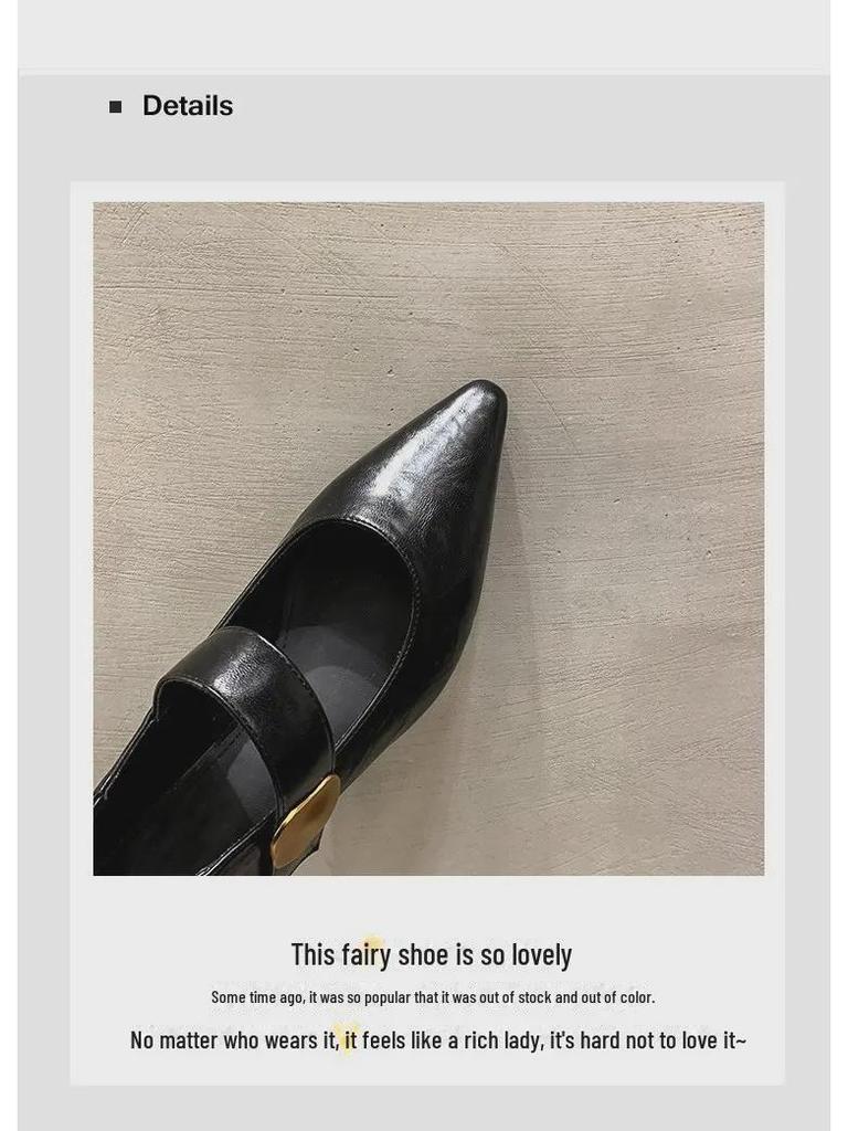 Женские туфли Mary Jane из кожи на толстом каблуке с острым носком, осень 2024 г. - средний каблук, британский повседневный стиль