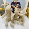 Год Кролика Маскот Мультяшный Обнимающий Морковь Кукла Кролик Маленький Белый Кролик Плюшевая Игрушка Кукла Подарок