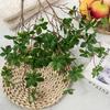 Artificial Flower Environmentally Friendly Wedding Decor Anti-fall Hawaii Eucalyptus Fancy Decorative