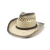 Outdoor Seaside Sunshade Fashion Spray Paint Western Cowboy Hat Straw Hat Big Edge Jazz Hat