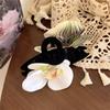 Butterfly Orchid Flower Hair Claw Bohemia Barrettes Large Shark Clip Cute Orchid Hair Clip  Beach
