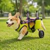 Breathable Dog Wheelchair Adjustable Pet Rehabilitation Walking Aids  Injury Recovery