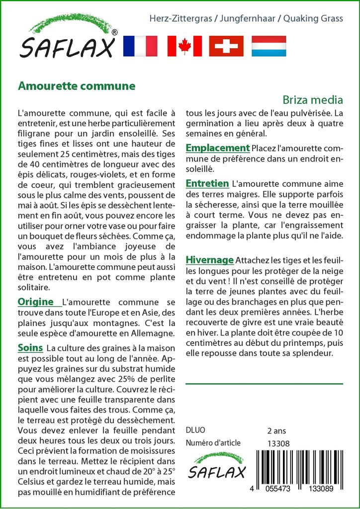 SAFLAX Трава трясущаяся - 75 семян - Бриза медиа