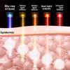 Фотонный аппарат для омоложения кожи Специальный спектрометр для салонов красоты Красный и синий аппарат для красоты Печать Светодиодный свет большой ряд