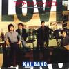 7-дюймовая пластинка KAI BAND Love Minus Zero Yoru No Swany 07FA1039 FUN HOUSE 1985 Япония Японский Поп-Рок Б/у