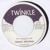 7-дюймовая пластинка TWINKLE BROTHERS  Ill Give It To Jah NG198 Twinkle Music 2004 Великобритания Регги Ска Даб Б/у