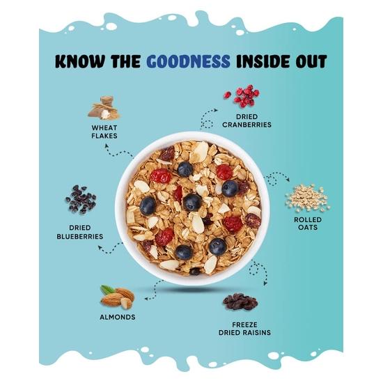 True Elements Berries Mix Muesli – 1kg | Wholegrain Cereal with Cranberries & Blueberries