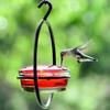 Hummingbird Feeder with Hook Large Capacity Leak-Proof Easy Filling Reusable Simple Installation Outdoor Hanging Bird Feeder