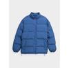 Winter Jacket Outhorn OTHAW23TDJAM261, Blue, Standard Fit