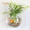 Creative Wall Mounted Clear Acrylic Round Fish Tank Flower Pot Vase Home Decor Decoration