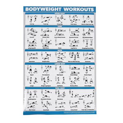 60x90 см. Таблицы тренировок. Прозрачный, прочный, легко читаемый плакат с упражнениями с собственным весом для домашних спортзалов и студий.