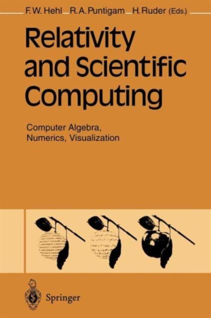 The Relativity and Scientific Computing : Computer Algebra, Numerics, Visualization Book