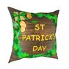 Улица. День Святого Патрика Наволочка для квадратной подушки Полиэстер Декоративная подушка Ирландский Святой Пэдди Трилистник Лепрекон Винтажные наволочки