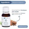 Naturalis Himalayan Pine needle Essential Oil for Skin, Hair and Aromatherapy, 15ml