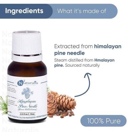 Naturalis Himalayan Pine needle Essential Oil for Skin, Hair and Aromatherapy, 15ml