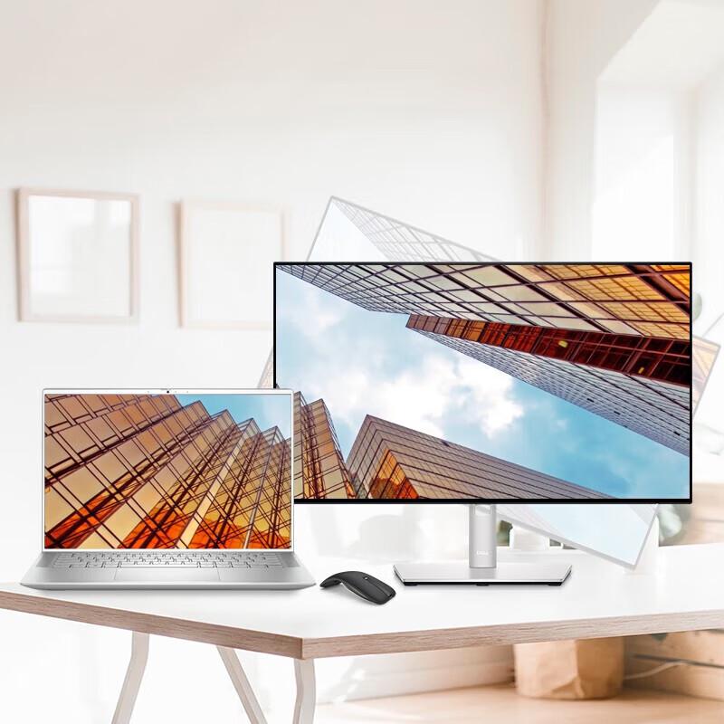 Dell 23.8-inch Full HD IPS Monitor CN plug (adapter included)