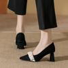 Spring and Summer New Gentle Wind Pointed High Heels Versatile Temperament Black Thick High Heels Single Shoes Women