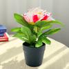 Artificial Potted Peony Flower Home Office Living Room Table Centerpiece Wedding Faux