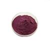 200g Bilberry Fruit Powder 4:1 Extract 4x Stronger Antioxident Anthocyanin