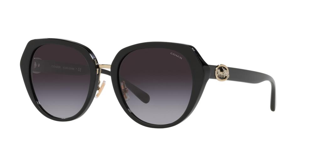 Coach Женские солнцезащитные очки HC8331 ЧЕРНЫЙ 55,