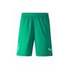 Puma Футбольные тренировочные спортивные шорты Neymar с принтом унисекс, зеленые 605570-07