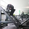 Shuhua Commercial Gym Equipment
