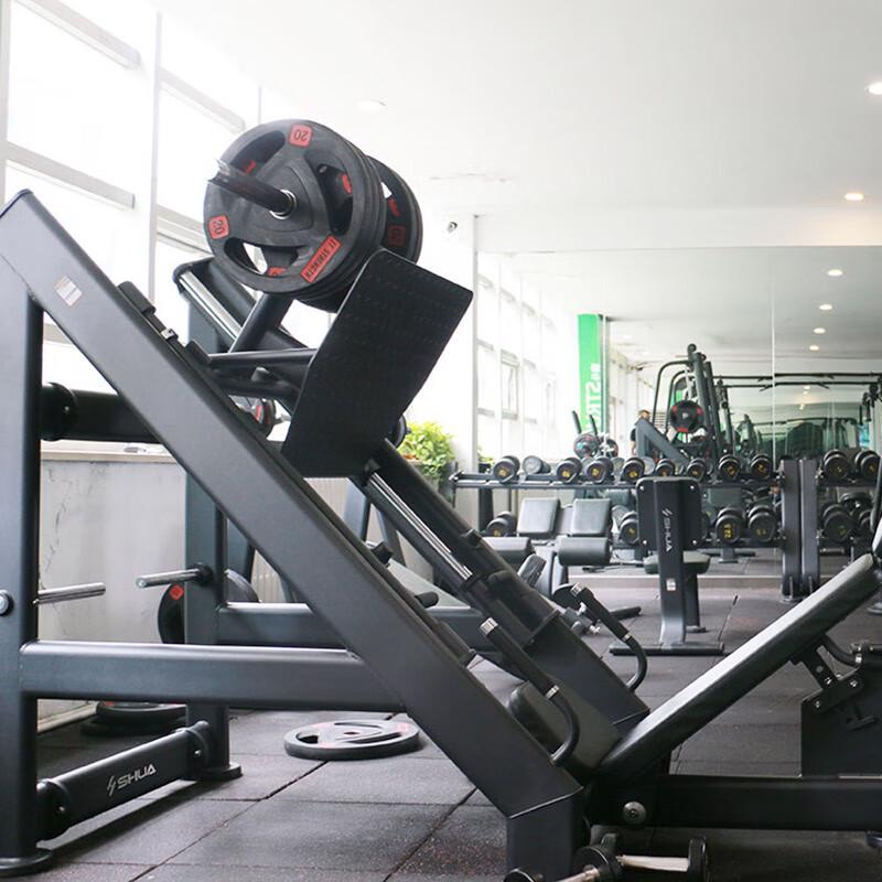 Shuhua Commercial Gym Equipment