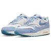 Nike Кроссовки Air Max 1 Premium 'Air Max Day Blueprint' Повседневная обувь DR0448-100