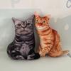 Подушка-кукла с рисунком тигра 3D - креативный подарок на день рождения в виде кошки-звезды