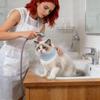 Шейный воротник для кошек Моющийся Водонепроницаемый Защитный бандаж для ран Кошачий конус для котят и щенков Домашний В помещении На улице