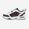 Air Monarch Iv 415445 101