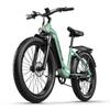 JOOBIKE JOO1 Adult Outdoor  E-Bike 48V17.5AH Battery 1000W Motor City Electric Mountain Bicycle 26 Inch Off-Road Electric Bicycle