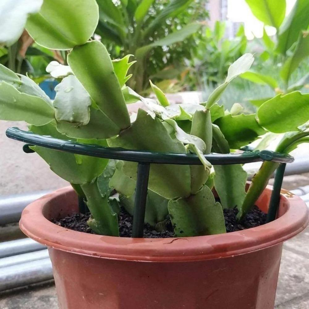 16 шт. пластиковая опора для растений, каркас для теплицы, полукруглый фиксированный стержень, комнатный цветок, лоза, лазающий кронштейн