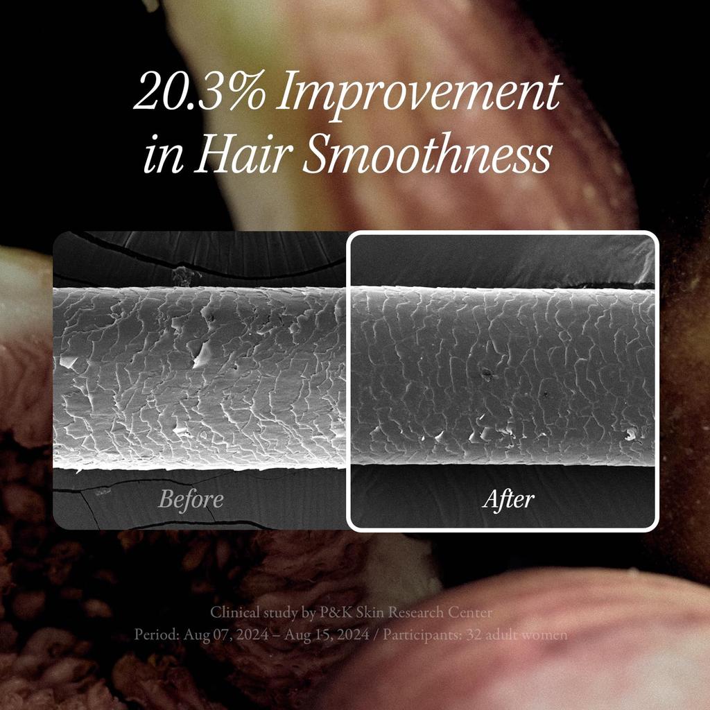 Longtake Black Tea Fig Softening Treatment 200ml Korean Cosmetics Fig Scent Hair Care Vegan Damage Care [LONGTAKE Official] &
