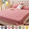 3PCS Coral Fleece Bed Sheet Milk Fleece Bed Sheet Winter Plus Fleece Flannel Winter Protective Cover Bed Sheet Pillowcase