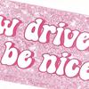 Student Driver Sticker Reusable Magnetic New Driver Decal Car Magnet Funny Animal Design For Driving Practice Safety Training