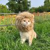 Halloween Cat Lion Mane Wig Costume Funny Lion Hair Pet Cosplay Outfit with Ear for Holiday Photo Shoot Party Dress-up Accessory