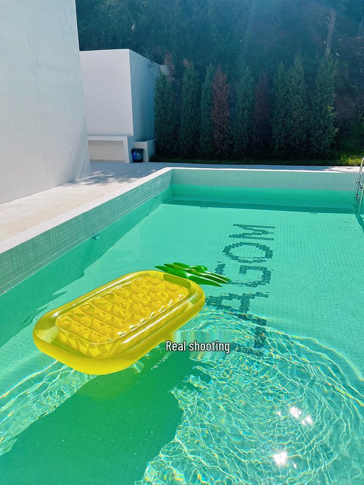 Inflatable Pineapple Cactus Watermelon Pizza Rainbow Pool Float Set