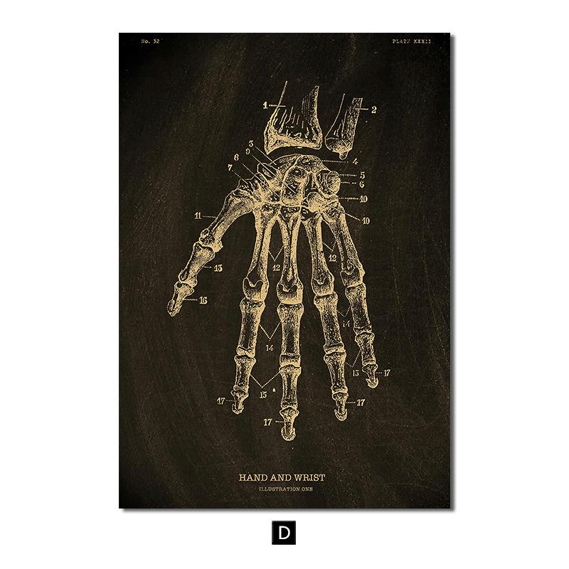 Анатомия человека, винтажный постер, скандинавский холст, художественный принт, золотой скелет, органы, живопись, настенные панно, медицинский домашний декор