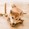 Interactive Training Molar Teeth Clean Stick Pine Wood Fiber Pet Supply Cute Dog Chew Toys