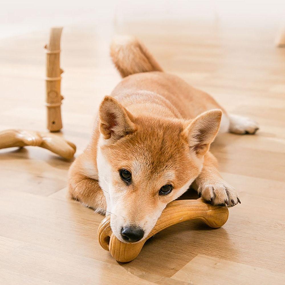 Interactive Training Molar Teeth Clean Stick Pine Wood Fiber Pet Supply Cute Dog Chew Toys