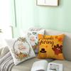 New Pumpkin Thanksgiving Pillow Cover Ins Nordic Peach Skin Printed Cushion Cushion Cover Home Products