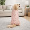 Animal Print Dog Recovery Suit Cotton Dog Sterilization Suit Dog Jumpsuit  Wound Protection